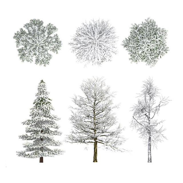 Cgcreators Dosch 2d Viz Images Winter Trees